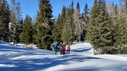 Skifahrer auf einer präparierten Schneespur im winterlichen Wald