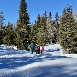 Skifahrer auf einer präparierten Schneespur im winterlichen Wald