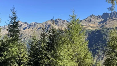 Dolomitenhof in Tristach: Ihr Urlaubsset