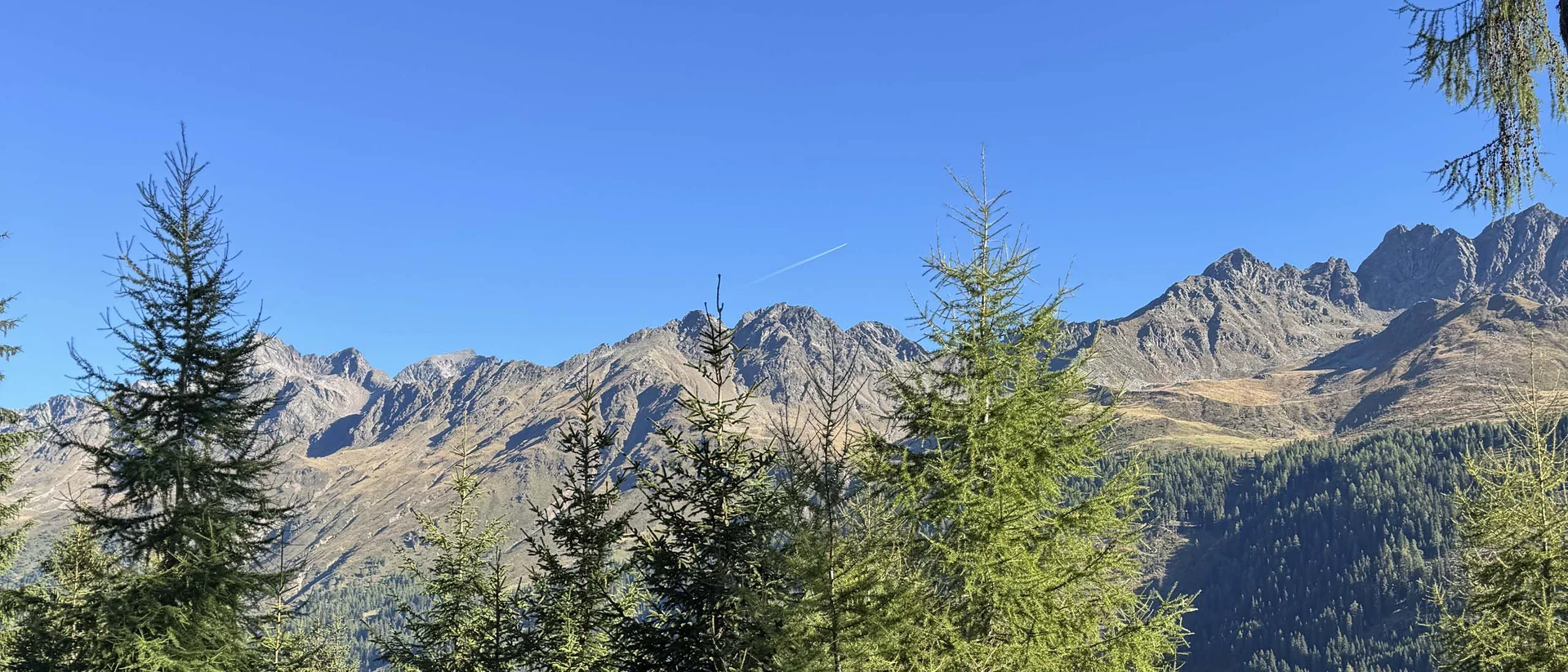 Dolomitenhof in Tristach: Ihr Urlaubsset